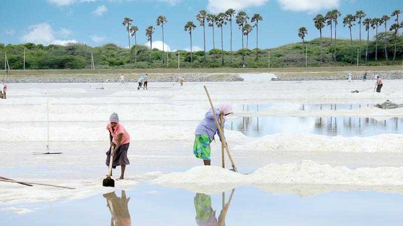 Visit Palatupana Salt Factory (3KM)