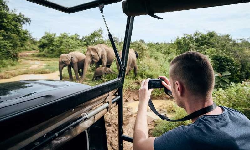 Yala Safari Photography Tour